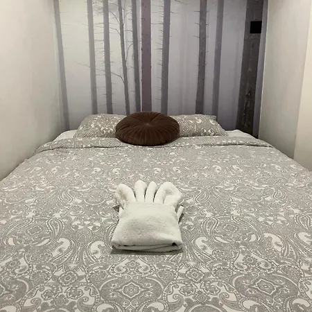L Zabrska Апартаменты *